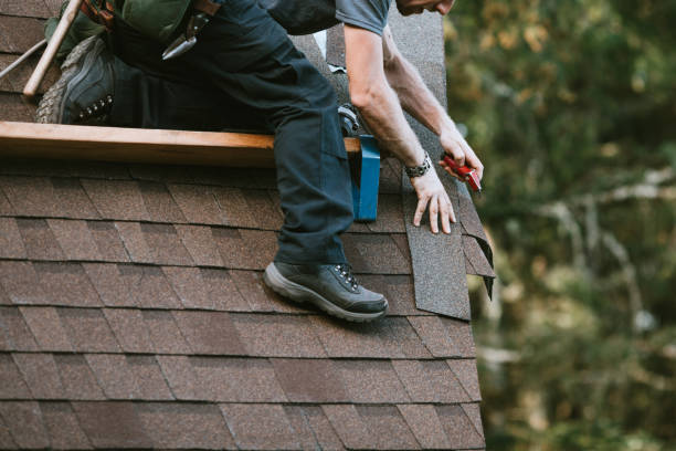 Best Roof Gutter Cleaning  in East Orange, NJ